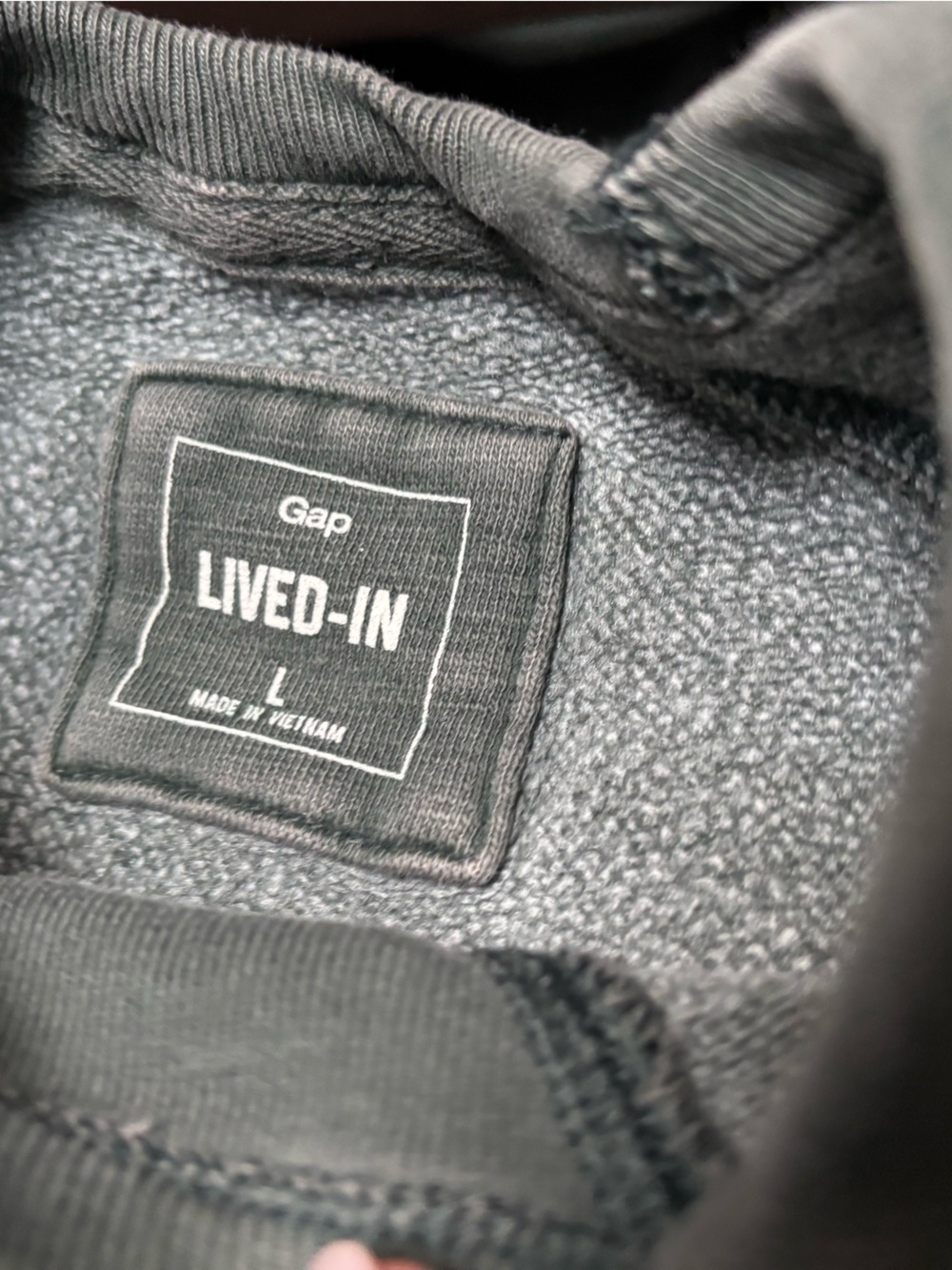 GAP Lived-In Sweatshirt in green